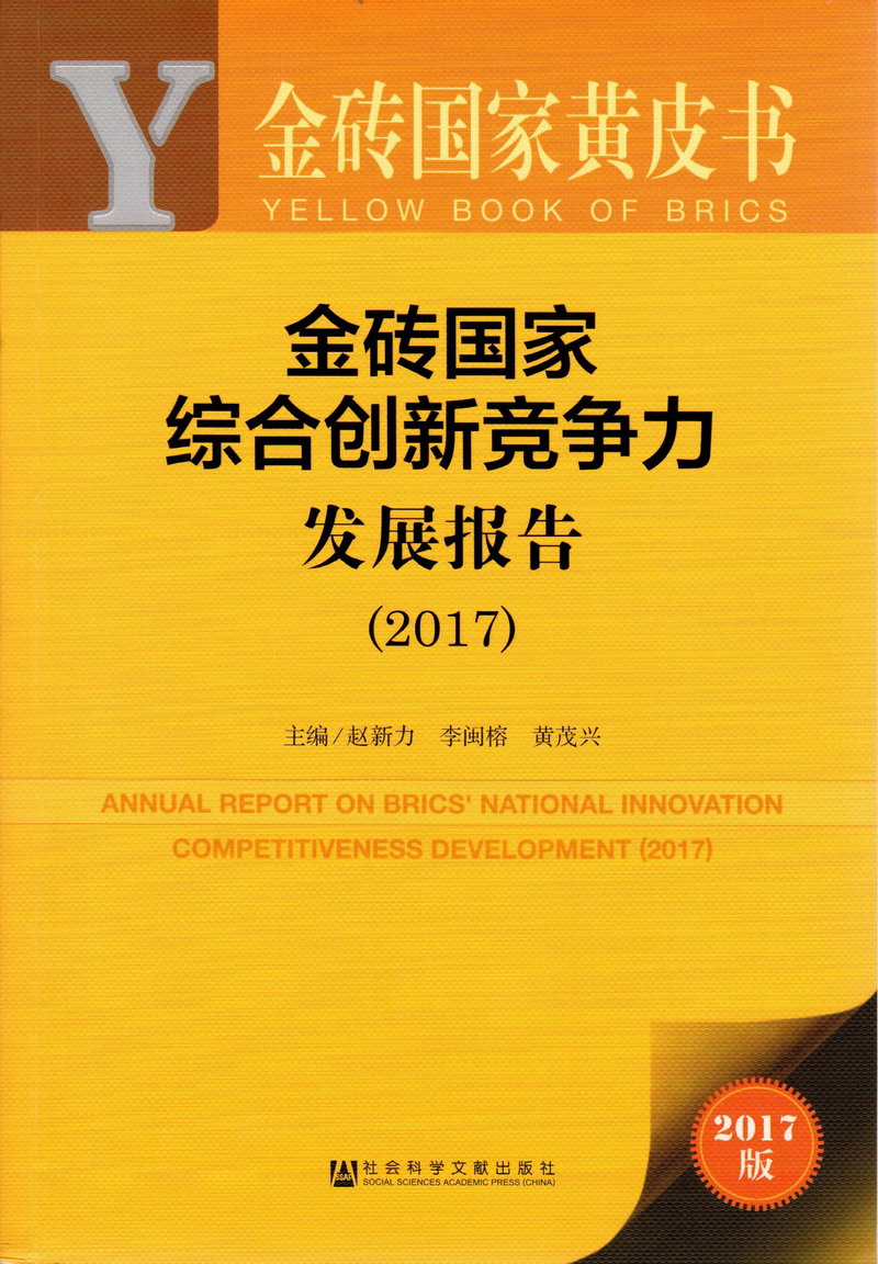 啊啊啊啊肏视频金砖国家综合创新竞争力发展报告（2017）